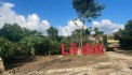 MỞ BÁN LÔ ĐẤT F0 SIÊU PHẨM , ĐẤT NGHỈ DƯỠNG TẠI ĐẠI ĐÌNH – TAM ĐẢO VĨNH PHÚC